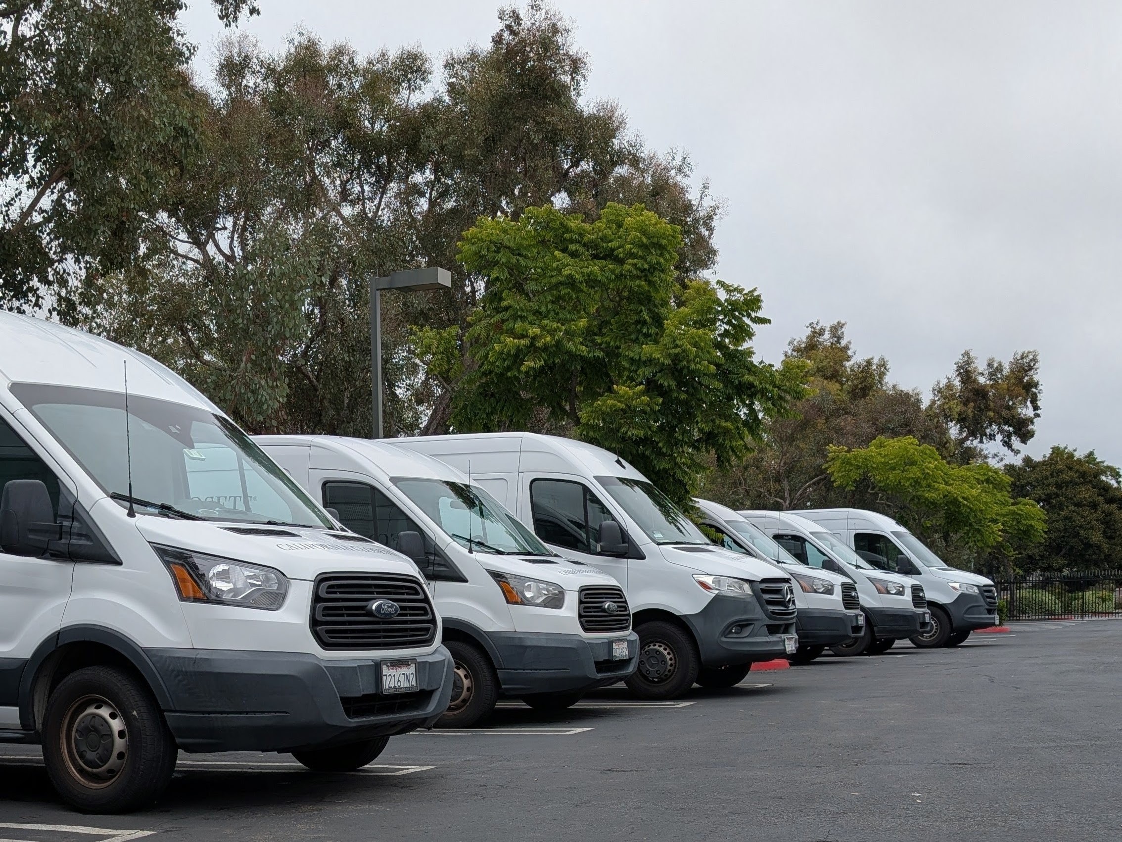 Fleet of Ford Transit vans