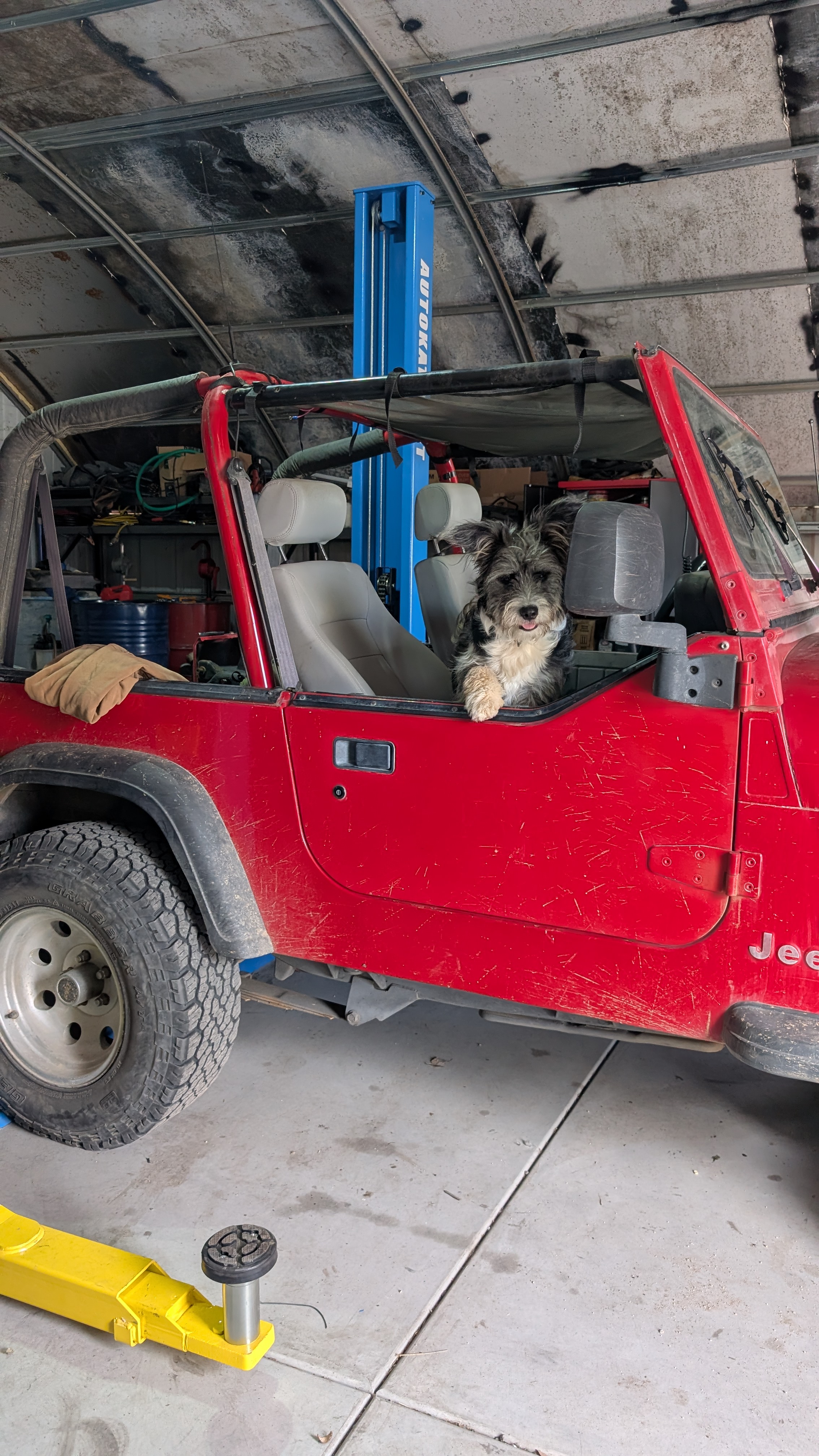 Shop dog in the YJ